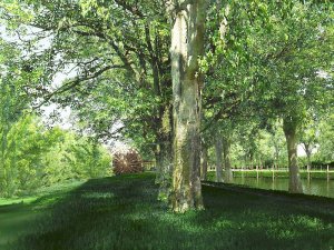 Y04_dk_mr_ZOK02_0006